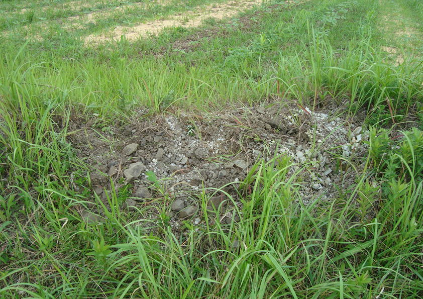 ★土が違います。